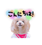 ぬいぐるみひいろスタンプ（個別スタンプ：8）