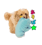 ぬいぐるみひいろスタンプ（個別スタンプ：14）