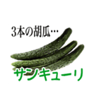 それゆけ、野菜…と花。〜All dull jokes（個別スタンプ：6）