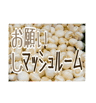 それゆけ、野菜…と花。〜All dull jokes（個別スタンプ：11）