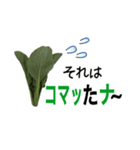 それゆけ、野菜…と花。〜All dull jokes（個別スタンプ：15）