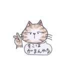 ひまねこやスタンプ（個別スタンプ：13）