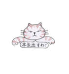 ひまねこやスタンプ（個別スタンプ：33）