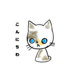 愛猫のらの（個別スタンプ：2）