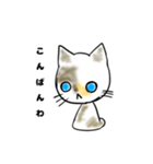 愛猫のらの（個別スタンプ：3）