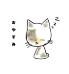 愛猫のらの（個別スタンプ：4）
