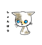 愛猫のらの（個別スタンプ：5）