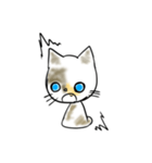 愛猫のらの（個別スタンプ：6）