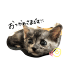 pinoちゃん（個別スタンプ：7）