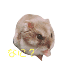 空ちゃんスタンプ♡（個別スタンプ：4）