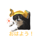にゃんのほのぼのスタンプ（個別スタンプ：9）