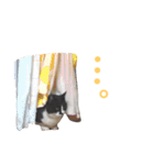 にゃんのほのぼのスタンプ（個別スタンプ：22）