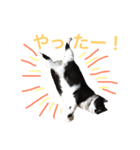 にゃんのほのぼのスタンプ（個別スタンプ：24）