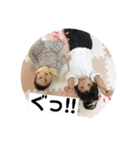 碧花＊瑚花（個別スタンプ：6）
