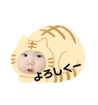 碧花＊瑚花（個別スタンプ：23）