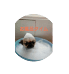 くうちゃんたちのつぶやき（個別スタンプ：4）