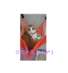 くうちゃんたちのつぶやき（個別スタンプ：7）