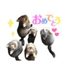 使えるにゃんこ（個別スタンプ：40）