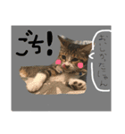 くるちゃこ。（個別スタンプ：3）