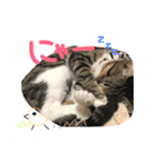 くるちゃこ。（個別スタンプ：6）