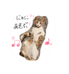 くるちゃこ。（個別スタンプ：7）