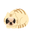 ひなこ(狆）（個別スタンプ：13）