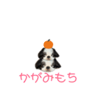 ひなこ(狆）（個別スタンプ：16）