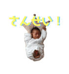 たろのすたんぷ（個別スタンプ：15）