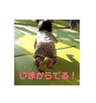 めいFamily（個別スタンプ：21）