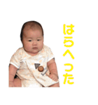 肉団子くんスタンプ2（個別スタンプ：13）