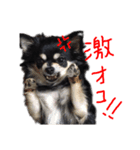 vivaのんのん（1）（個別スタンプ：4）