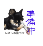 vivaのんのん（1）（個別スタンプ：6）