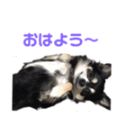 vivaのんのん（1）（個別スタンプ：10）