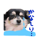 vivaのんのん（1）（個別スタンプ：14）