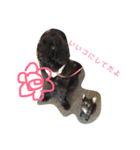 ニューファンドランド犬ハンナ2（個別スタンプ：3）