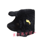 ニューファンドランド犬ハンナ2（個別スタンプ：6）
