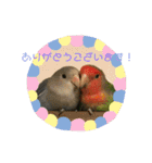 コザクラインコ 他にもいっぱい（個別スタンプ：2）