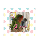 コザクラインコ 他にもいっぱい（個別スタンプ：32）