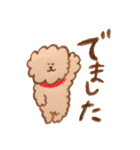 犬と暮らす 【トイプードルと色鉛筆と】（個別スタンプ：6）
