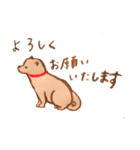 犬と暮らす 【トイプードルと色鉛筆と】（個別スタンプ：8）