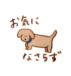 犬と暮らす 【トイプードルと色鉛筆と】（個別スタンプ：10）
