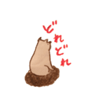犬と暮らす 【トイプードルと色鉛筆と】（個別スタンプ：13）