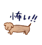 犬と暮らす 【トイプードルと色鉛筆と】（個別スタンプ：18）