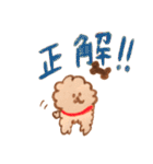 犬と暮らす 【トイプードルと色鉛筆と】（個別スタンプ：21）