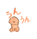 犬と暮らす 【トイプードルと色鉛筆と】（個別スタンプ：27）