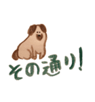 犬と暮らす 【トイプードルと色鉛筆と】（個別スタンプ：29）