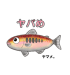 うお！魚スタンプ（個別スタンプ：3）