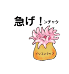 うお！魚スタンプ（個別スタンプ：10）