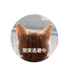 みかんこ（個別スタンプ：6）