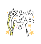 しろくまの日常、時々ねこ（個別スタンプ：2）